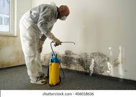 Best Commercial Mold Inspection  in Mulino, OR